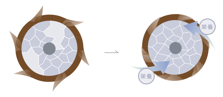 髪の内部の隙間を栄養で埋めて補修する